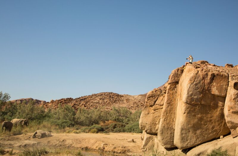 A front row seat to the desert adapted elephants of Namibia - Brandberg
