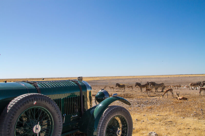 Vintage Bentley's in Africa.
