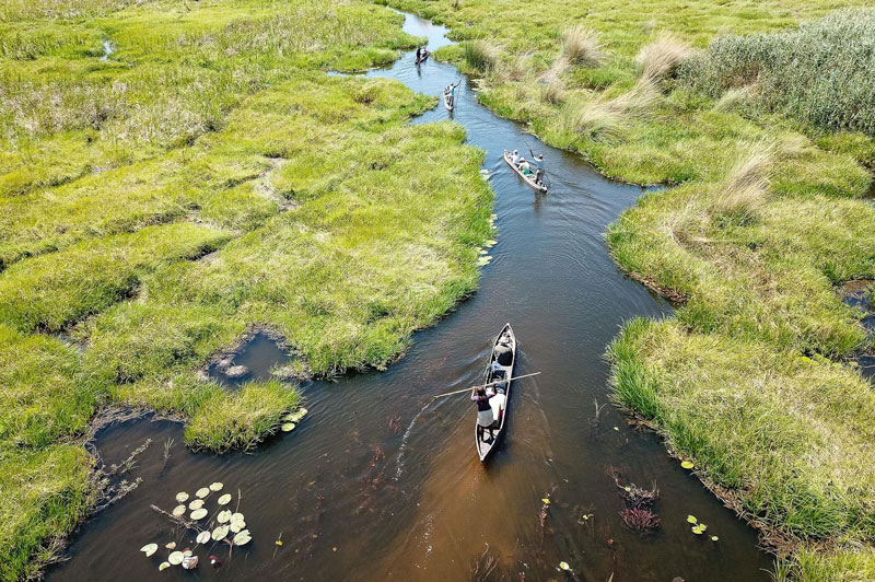 Sunway-Botswana-Okavango-Bruce-Taylor