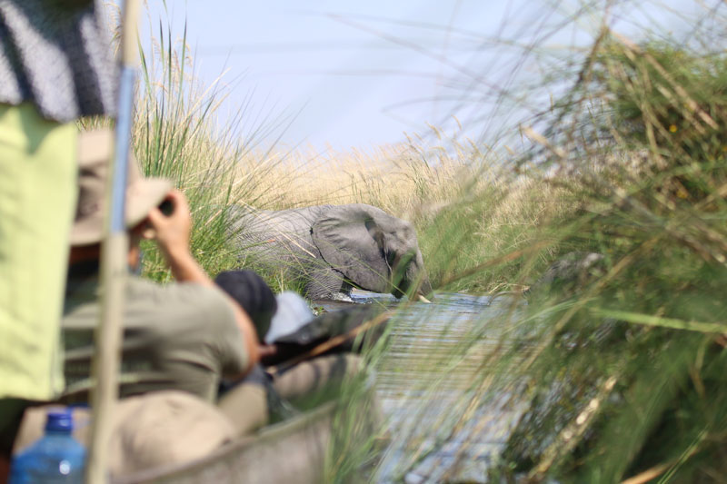 Sunway-Botswana-Okavango-Jez-Hollinshead-1101131