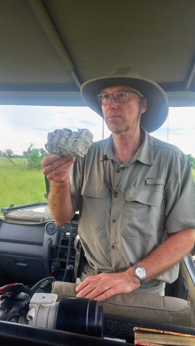 Learning about elephant teeth from our resident vet.