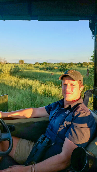 Guiding guests to lions by following the tracks and calls.
